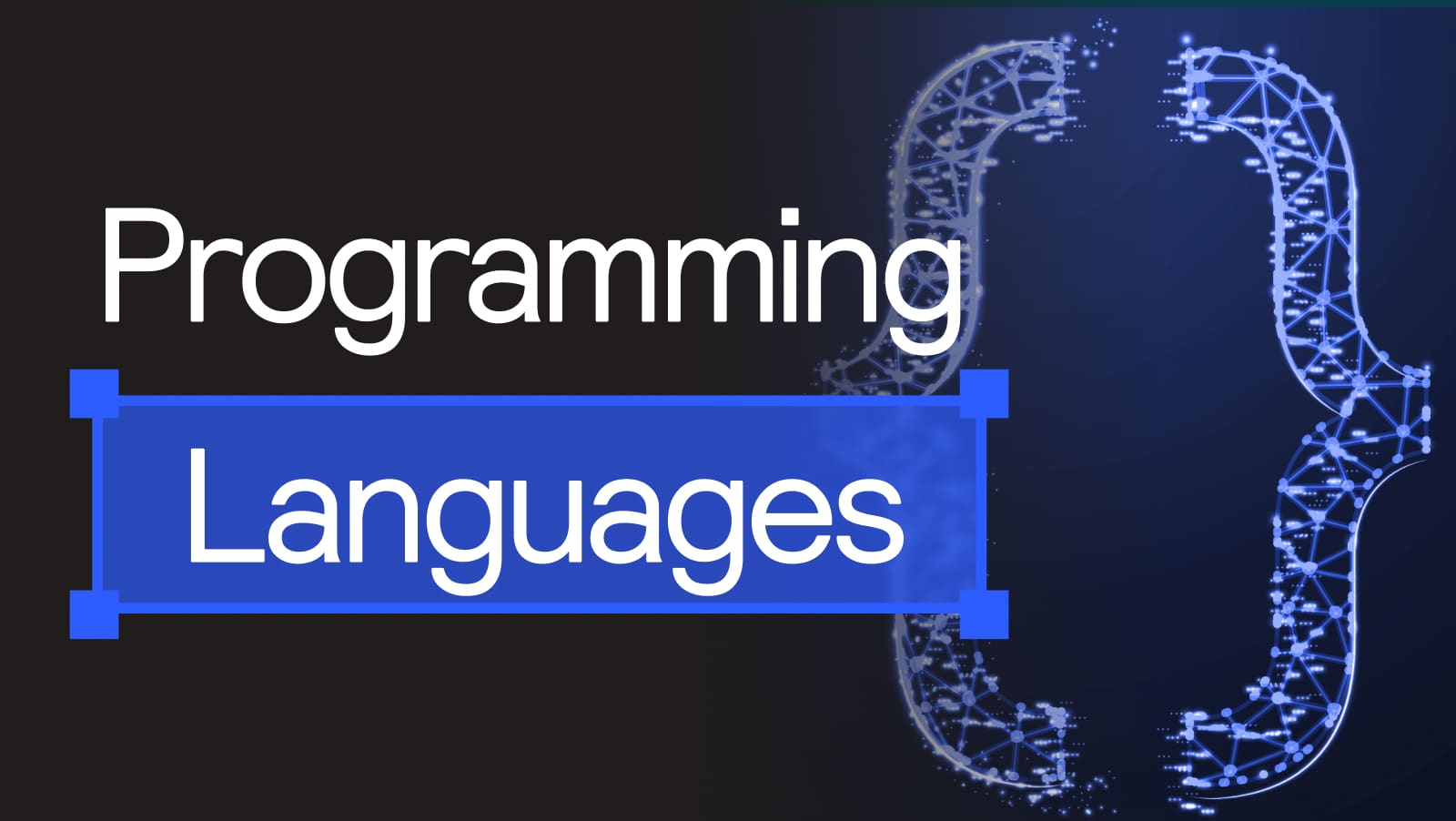 Programming Languages