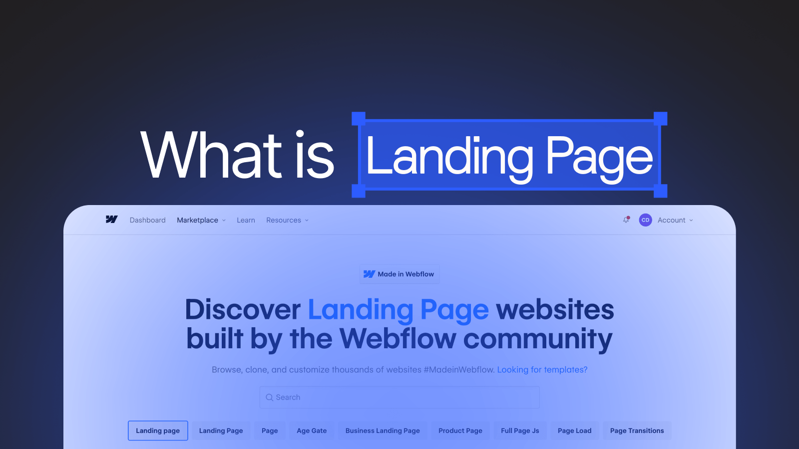 What is Landing Page